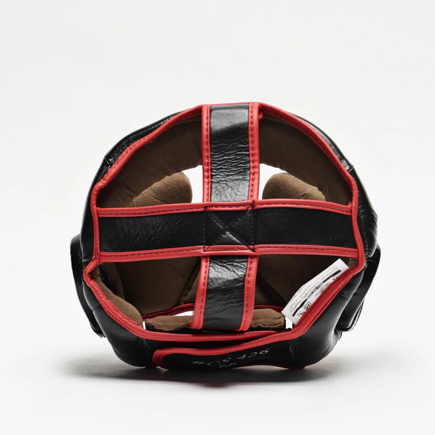 Casco Parazigomi e Paramento Leone - Image 3