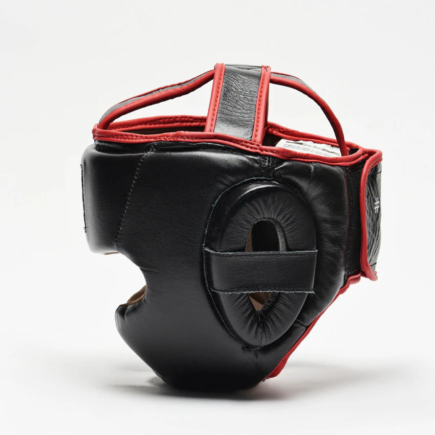 Casco Parazigomi e Paramento Leone - Image 5