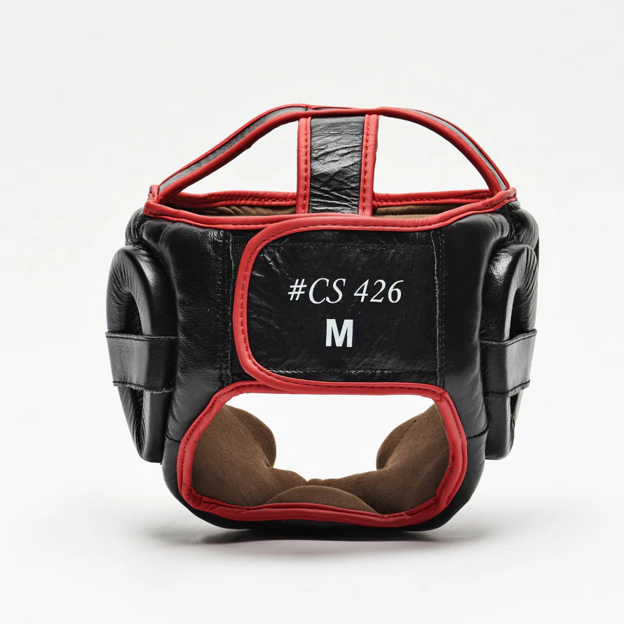 Casco Parazigomi e Paramento Leone - Image 6