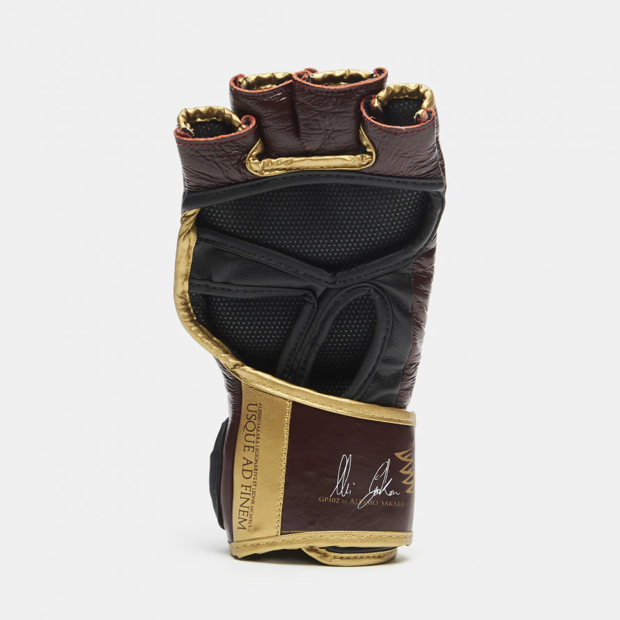 Guanti MMA Alessio Sakara Leone Legionarivs II - Image 6