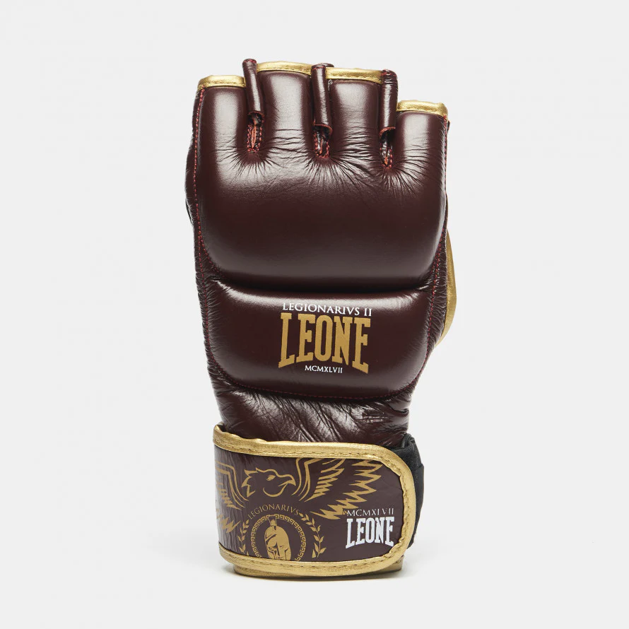 Guanti MMA Alessio Sakara Leone Legionarivs II - Image 7