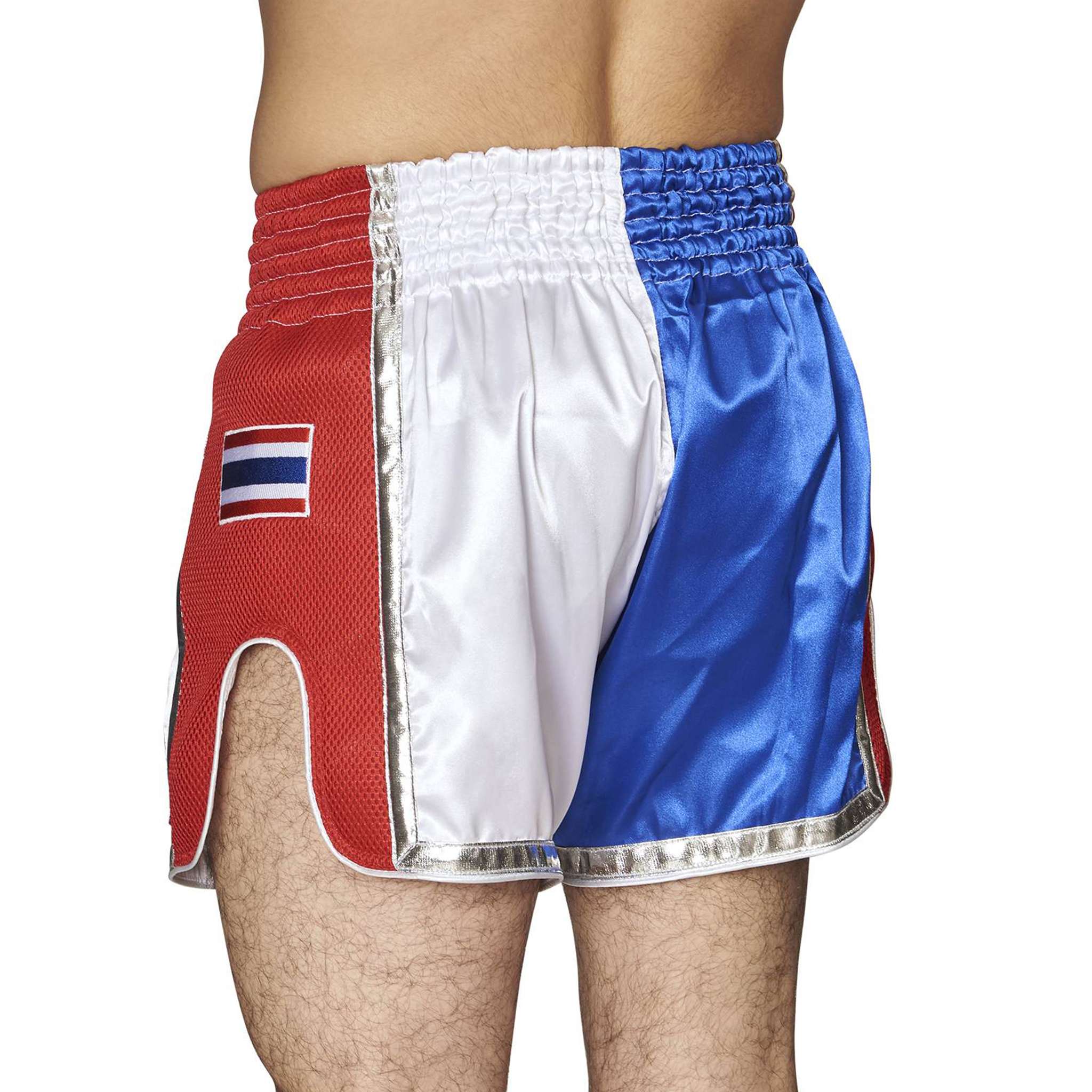 Pantaloncini Muay Thai Leone Siam - Image 4