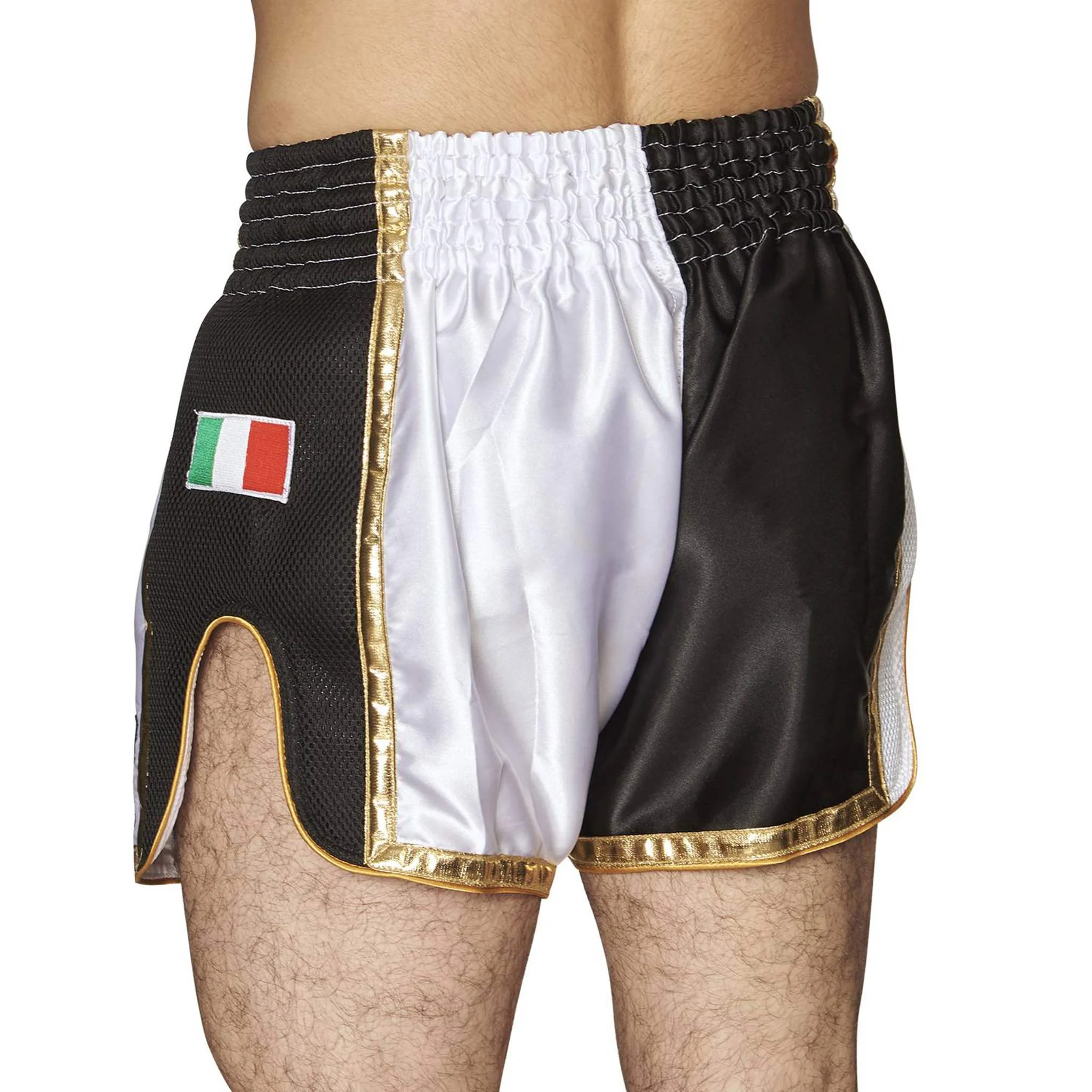 Pantaloncini Muay Thai Leone Siam - Image 6