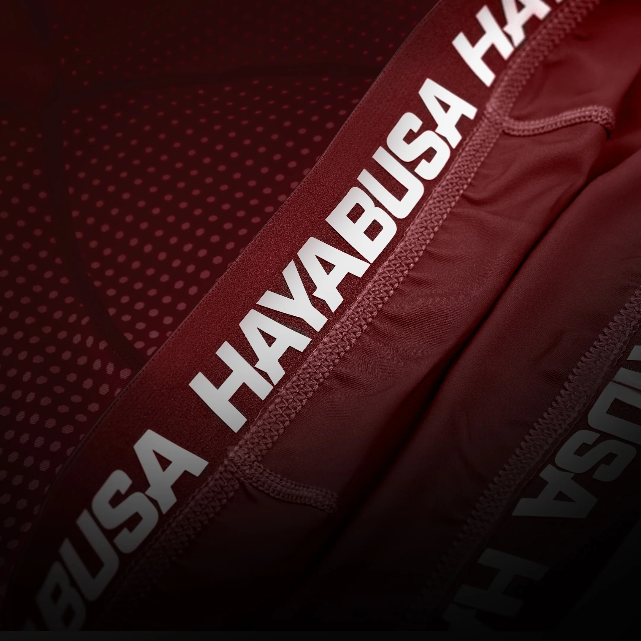 Pantaloncini Vale Tudo Hayabusa Core - Image 6
