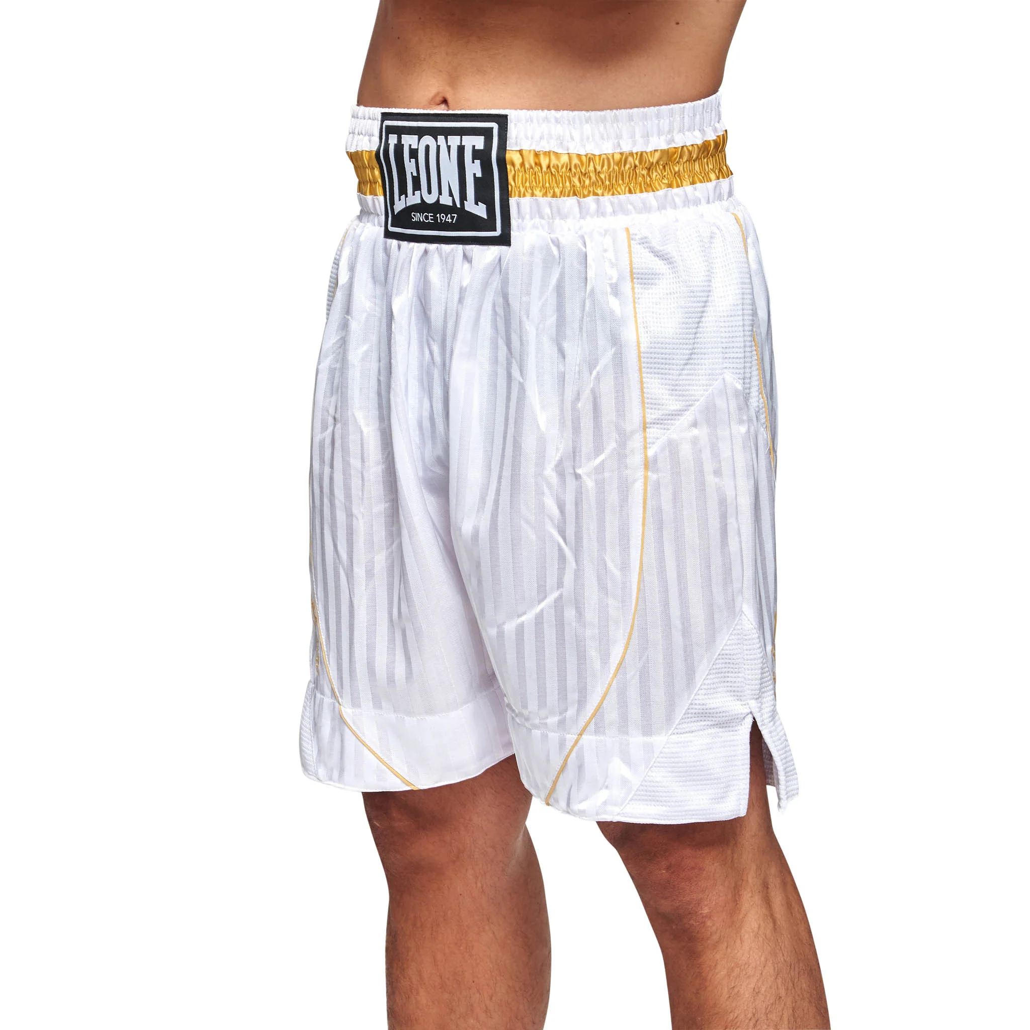 Pantaloncini Leone Boxe Premium - Image 5