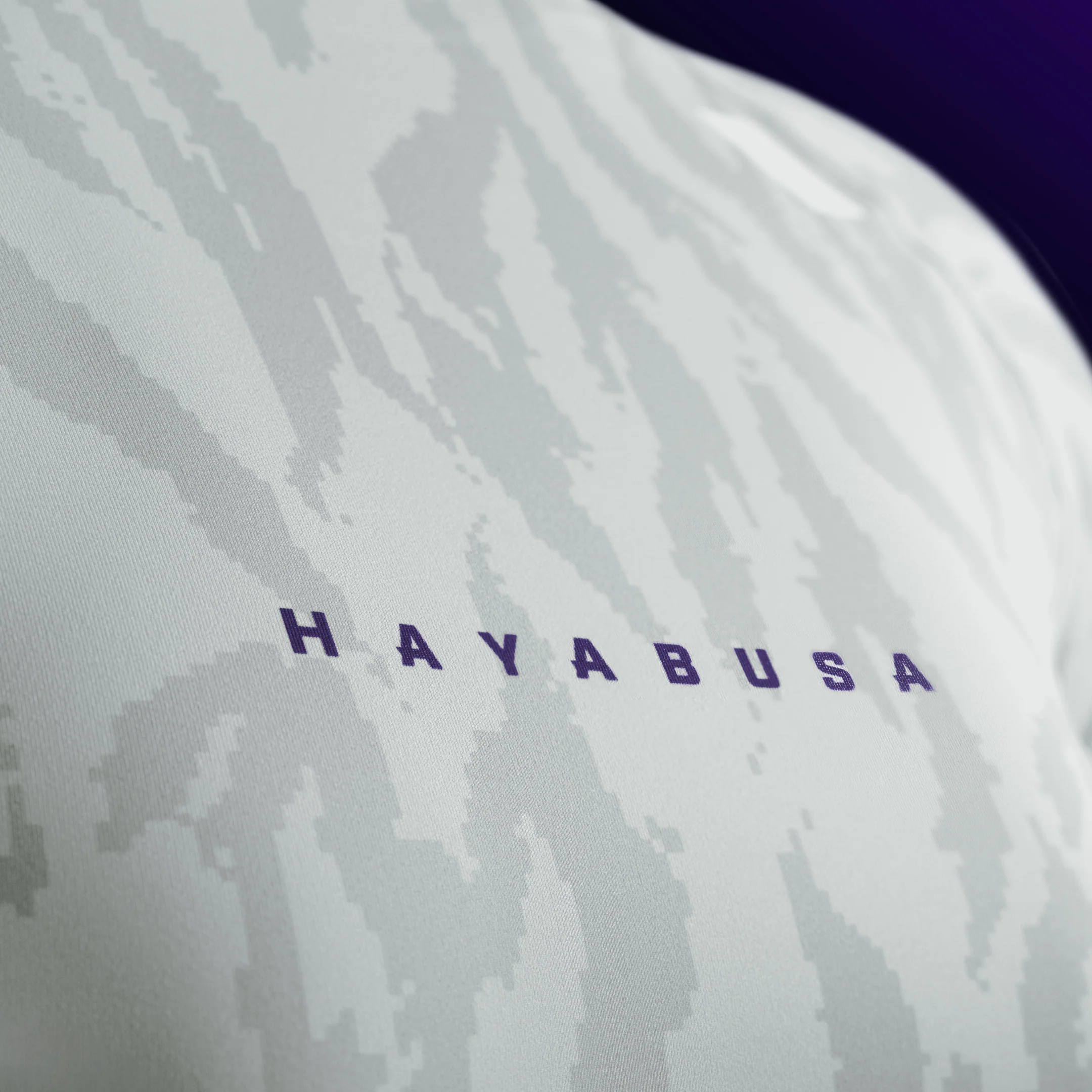 Rashguard Donna Maniche Lunghe Hayabusa Apex - Image 3