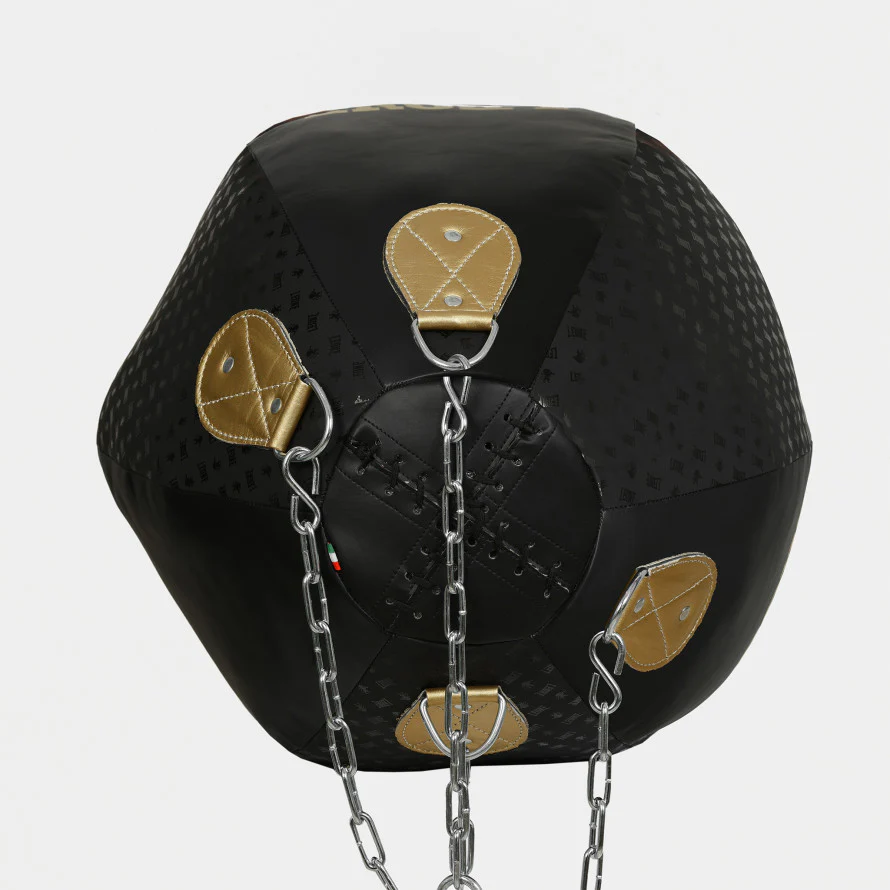 Sacco a Palla Leone 20 kg DNA - Image 3
