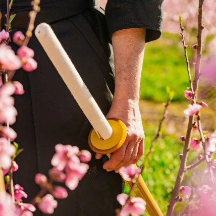 Shinai In Bambù Kendo - Image 6